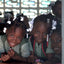 Children in school uniforms sitting together in a classroom.